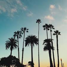 Summer Vibes
